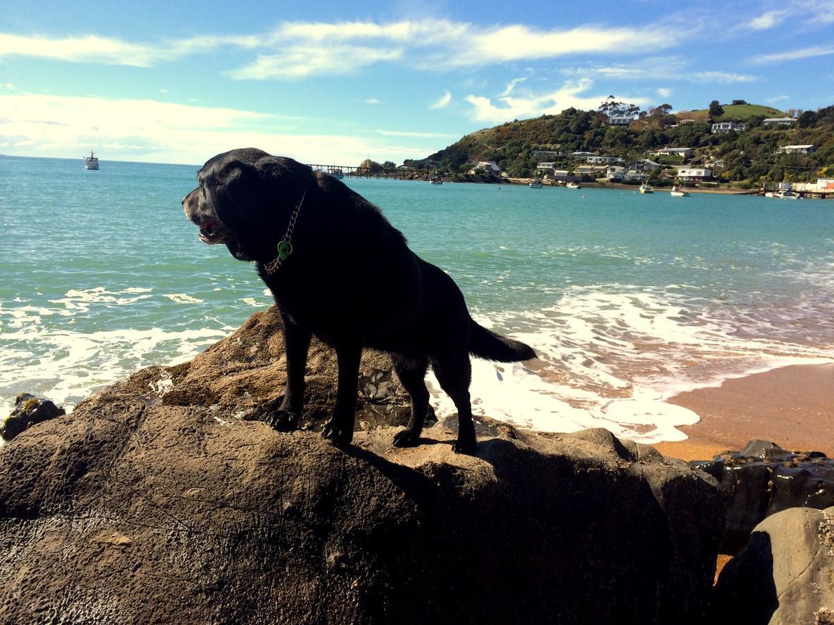 Noah'S Boutique Accommodation Moeraki Exterior foto